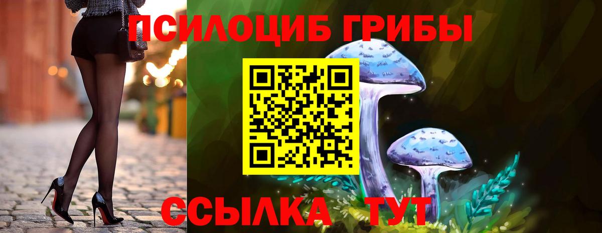 Псилоцибиновые грибы MAGIC MUSHROOMS Похвистнево