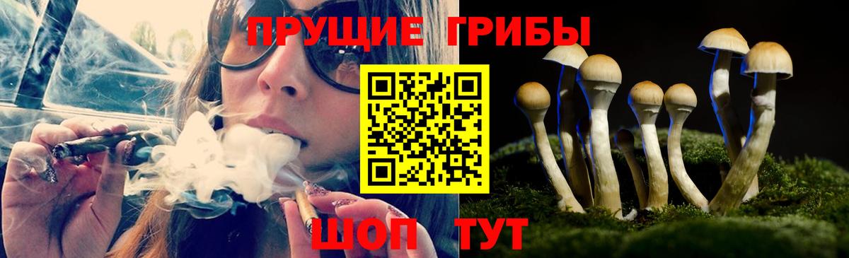 Галлюциногенные грибы MAGIC MUSHROOMS  Псилоцибиновые грибы GOLDEN TEACHER  Вход с VPN  Похвистнево 