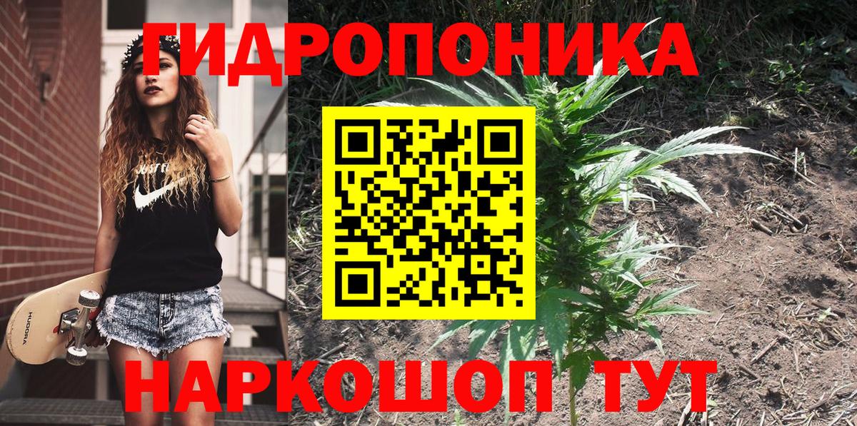 Конопля Bruce Banner  Вход с VPN  Конопля план  Похвистнево 